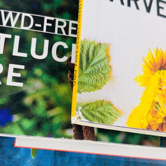 Mary Janes Farm Magazine Lot of 5 Dec 2020 - Sept 2021 Out Of The Box Work Play - Picture 5 of 10